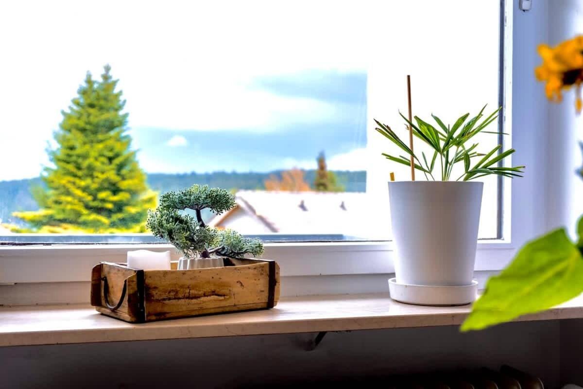 Relaxapartments Black Forest Nature Mit Beheiztem Indoor-Pool Und Sauna - Sonnenbalkon Mit Blick Ins Gruene, Schnelles Internet, Naehe Triberger Wasserfaelle, Fuer Bis Zu 2 Personen Schönwalde Kültér fotó